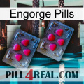 Engorge Pills 14